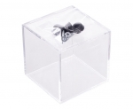 Z570M-1-V1 Plexiglass Cube